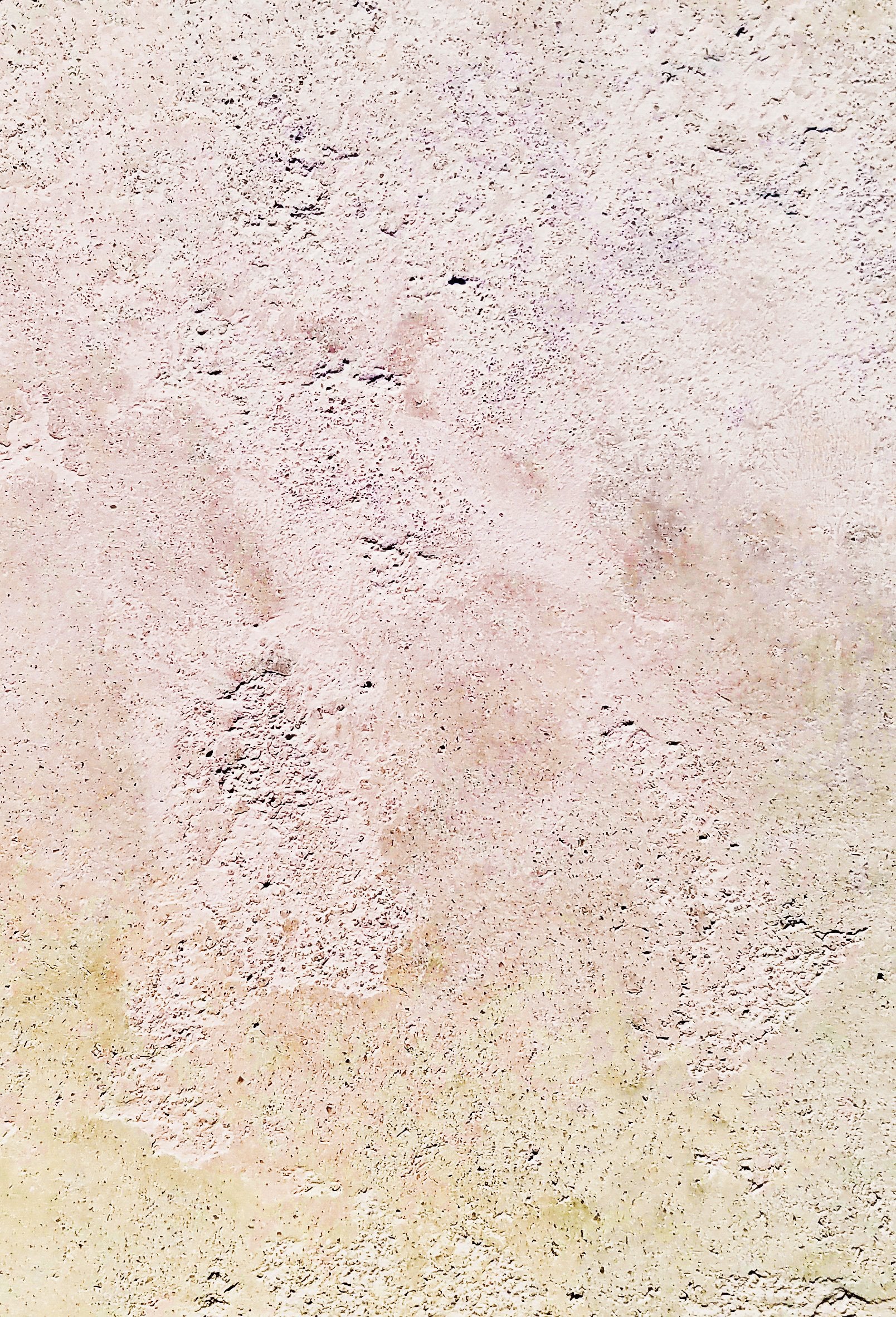 CARRERA - 1 QUART - Image 4