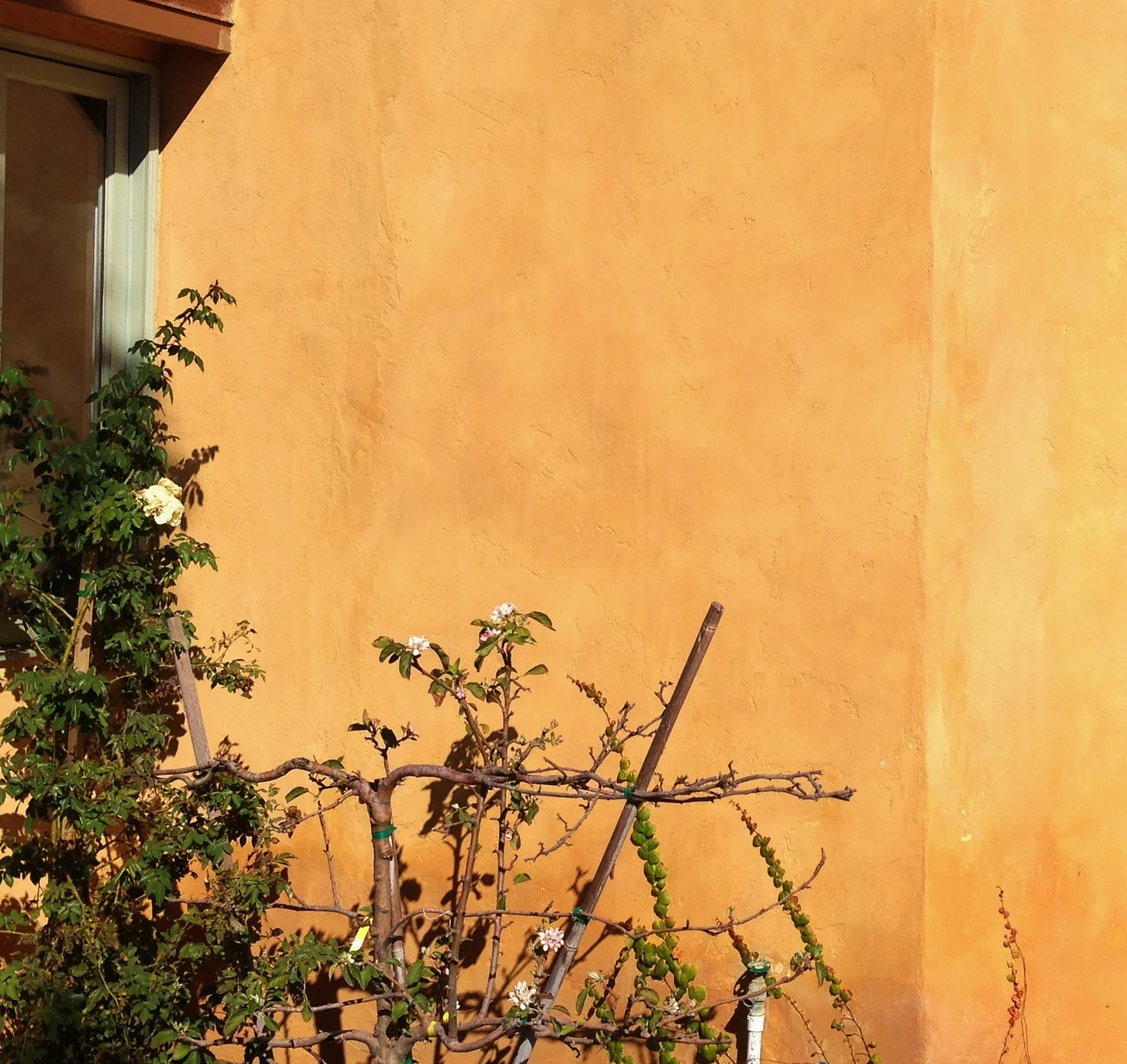 LIME PAINT - SAMPLE BOARD - Image 39